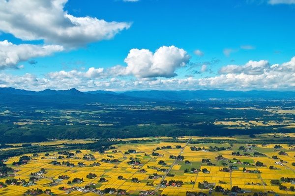 landscape_00028